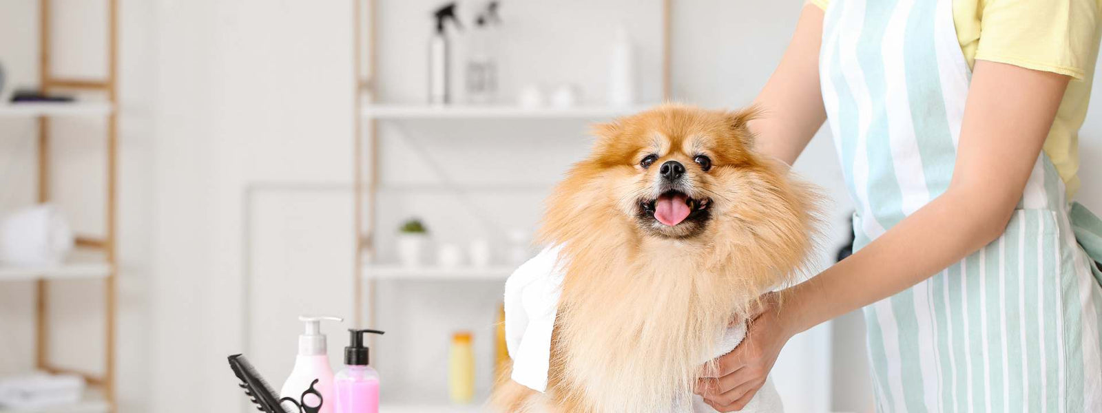 Dog Wipes
