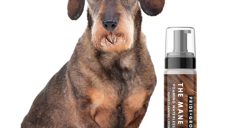 Waterless and Dry Pet Shampoos