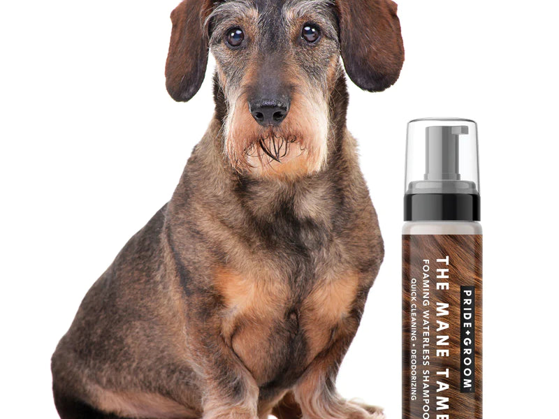Waterless and Dry Pet Shampoos