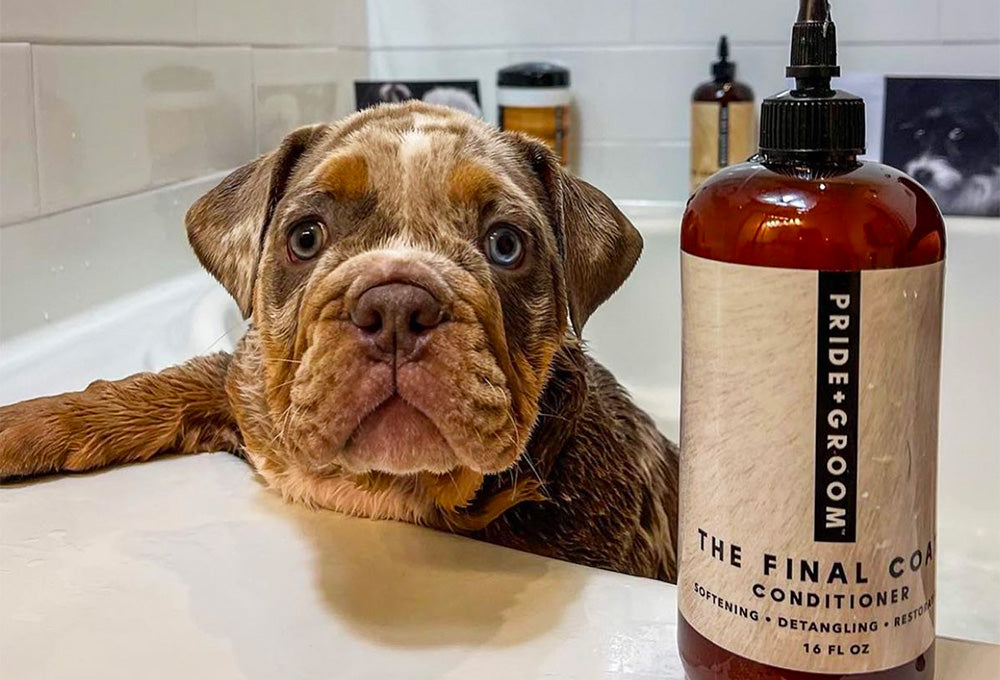 Best professional Dog Conditioner