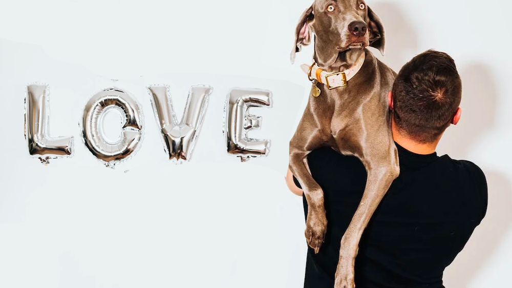 Monthly Professional Groomer Interview Series - Pedro Colon