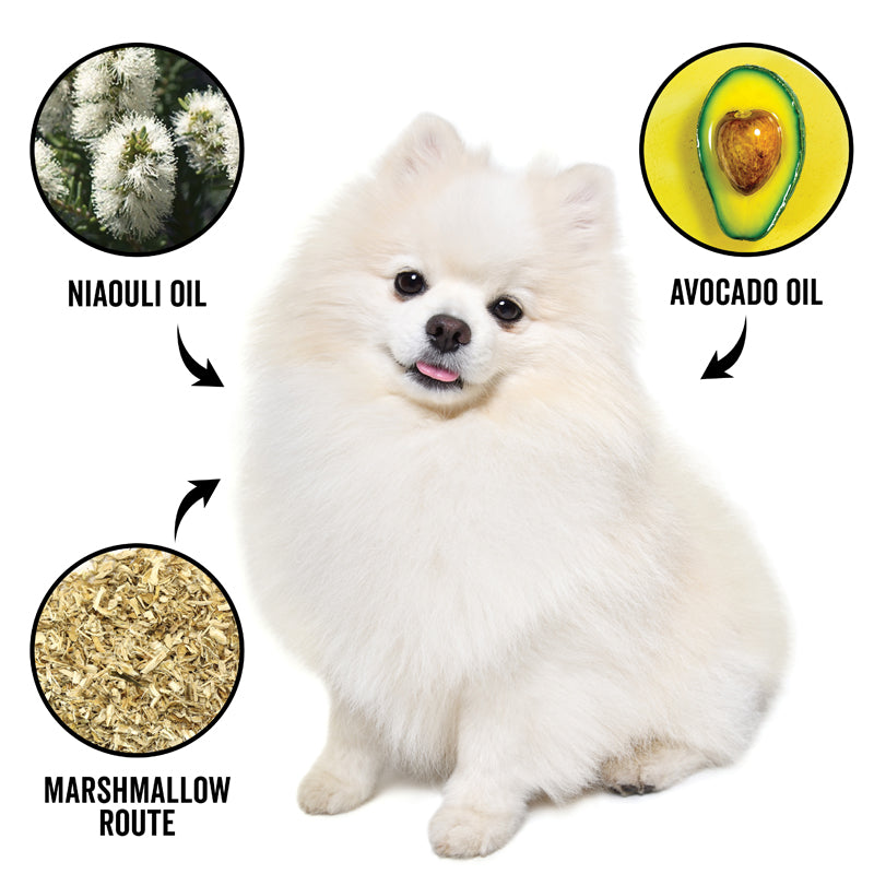 DOGDAYS Conditioner