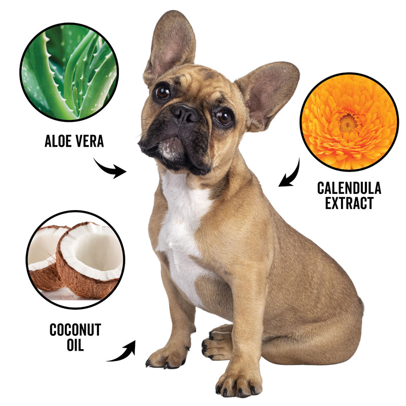DOGDAYS Waterless Shampoo