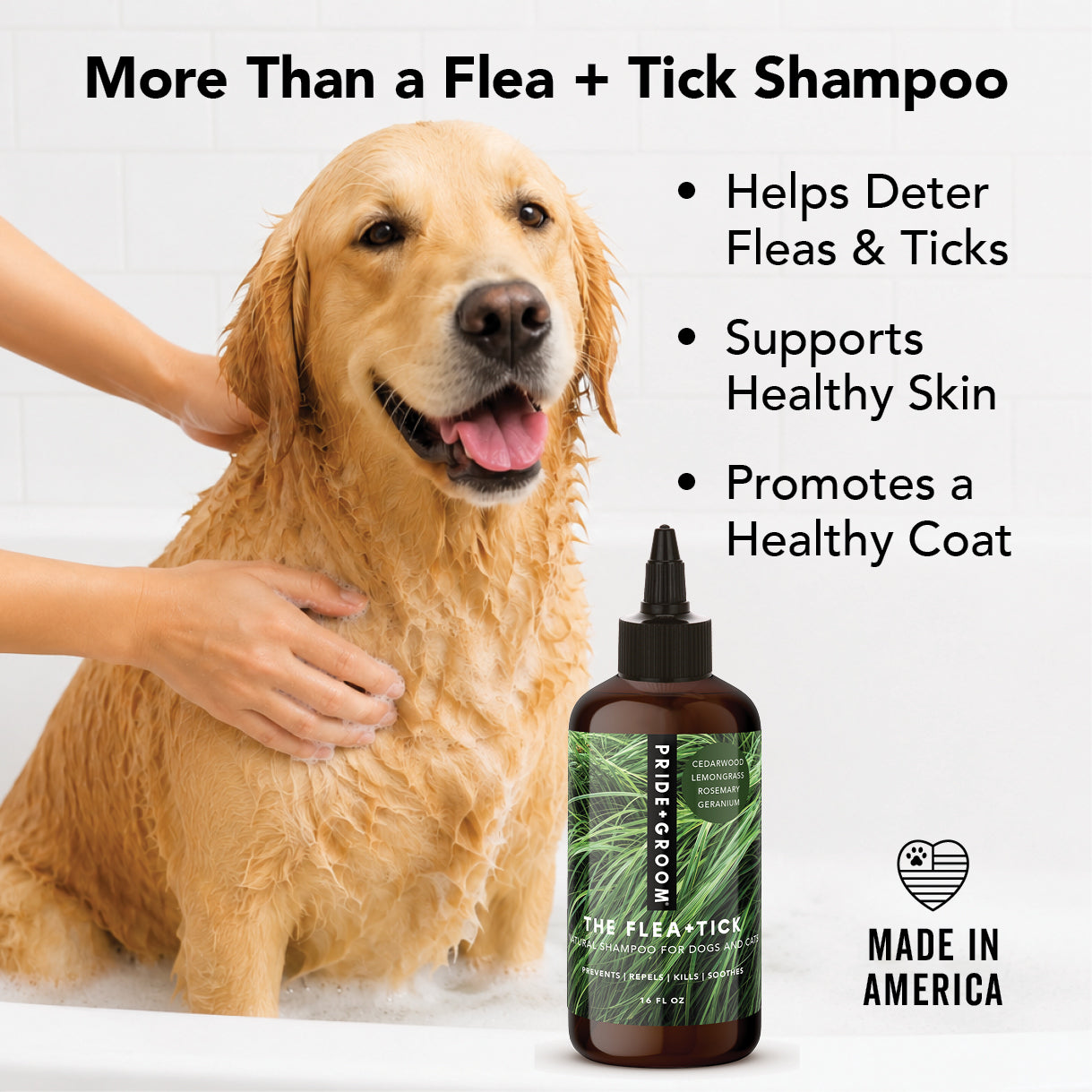FLEA + TICK SHAMPOO