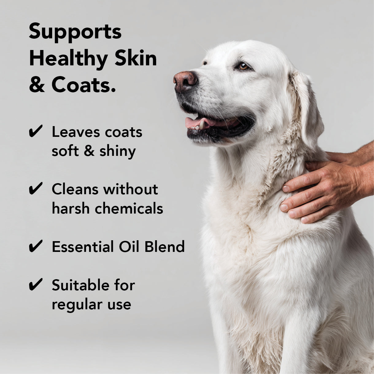 FLEA + TICK SHAMPOO