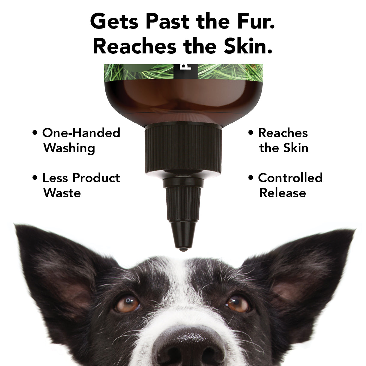 FLEA + TICK SHAMPOO