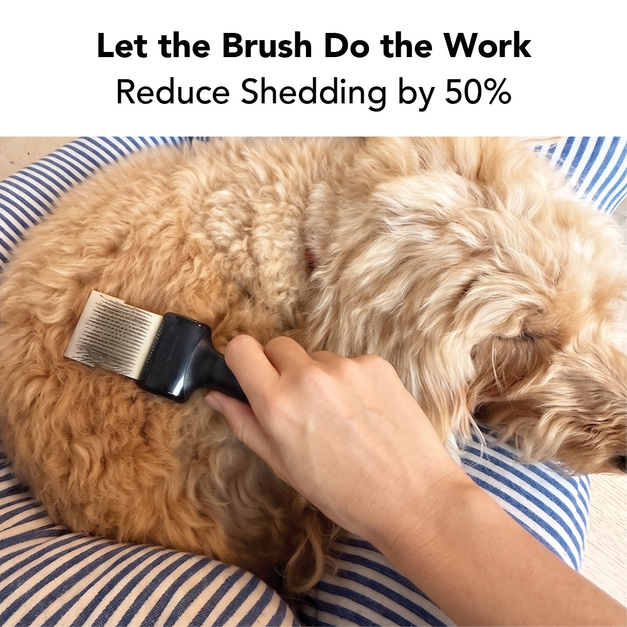 THE 3-IN-1 BRUSH