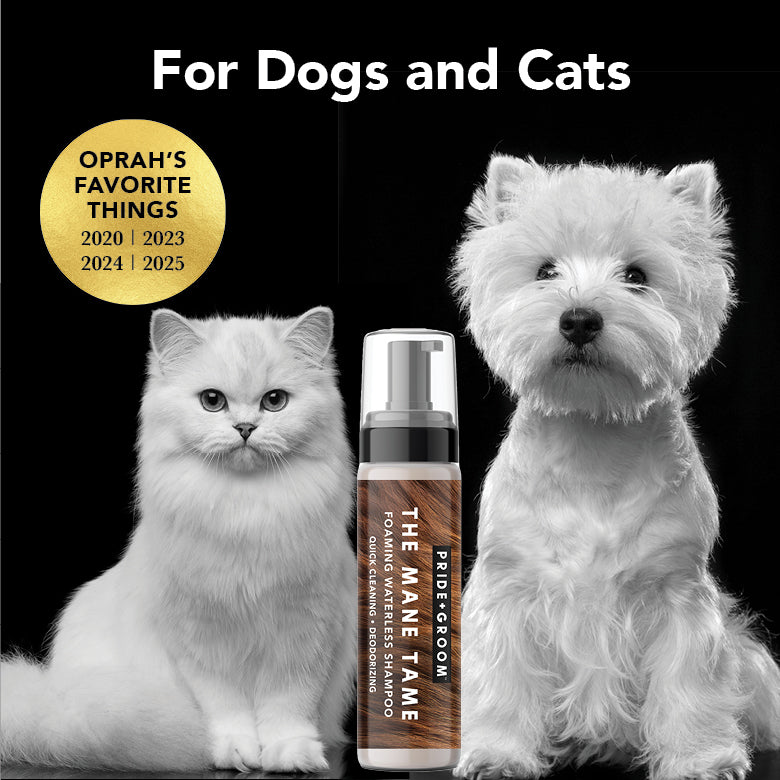 THE MANE TAME Waterless Dog & Cat Shampoo + Refillable Product