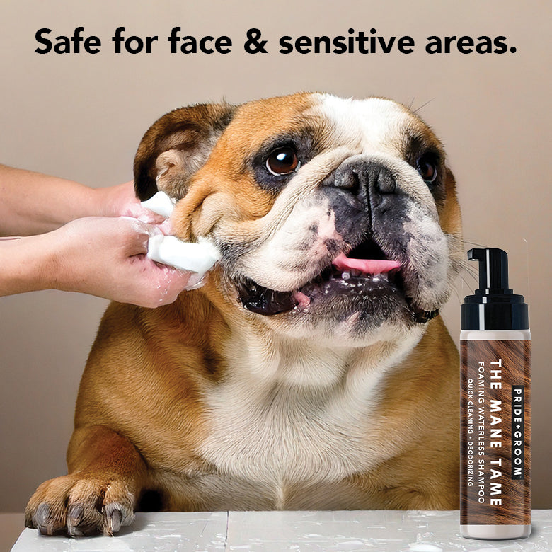 THE MANE TAME Waterless Dog & Cat Shampoo + Refillable Product