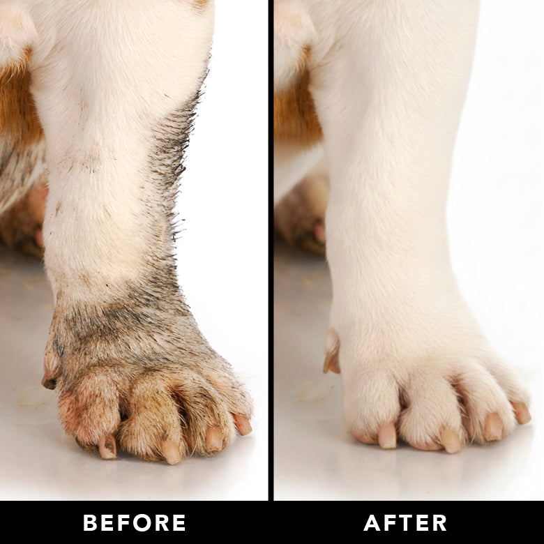 THE MANE TAME Waterless Dog & Cat Shampoo + Refillable Product