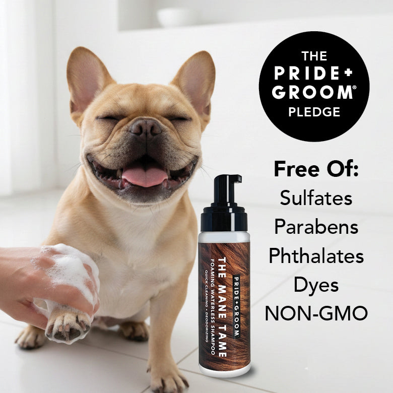 THE MANE TAME Waterless Dog & Cat Shampoo + Refillable Product