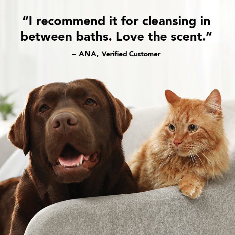 THE MANE TAME Waterless Dog & Cat Shampoo + Refillable Product