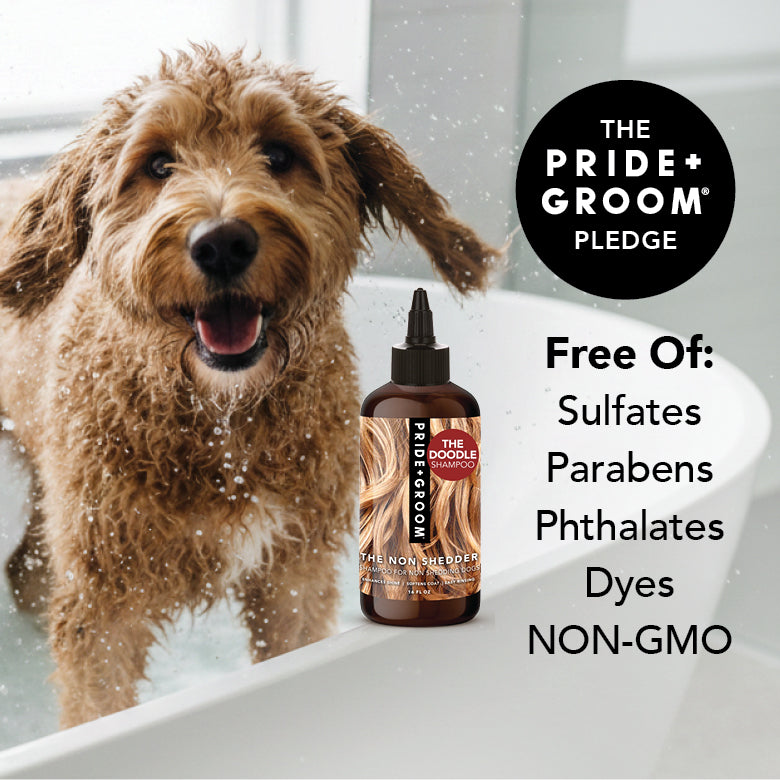 THE NON SHEDDER 12 OZ