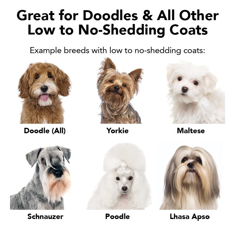 THE NON SHEDDER 12 OZ