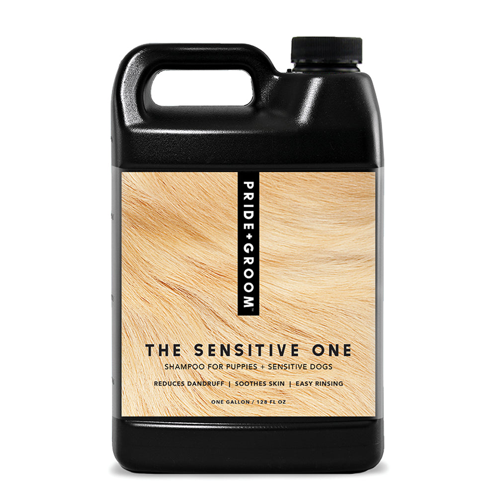 THE SENSITIVE ONE Hypoallergenic Dog & Puppy Shampoo — With Hemp Oil, Aloe & Oatmeal for Sensitive Skin