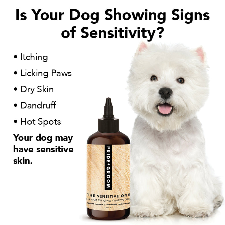 THE SENSITIVE ONE 12 OZ