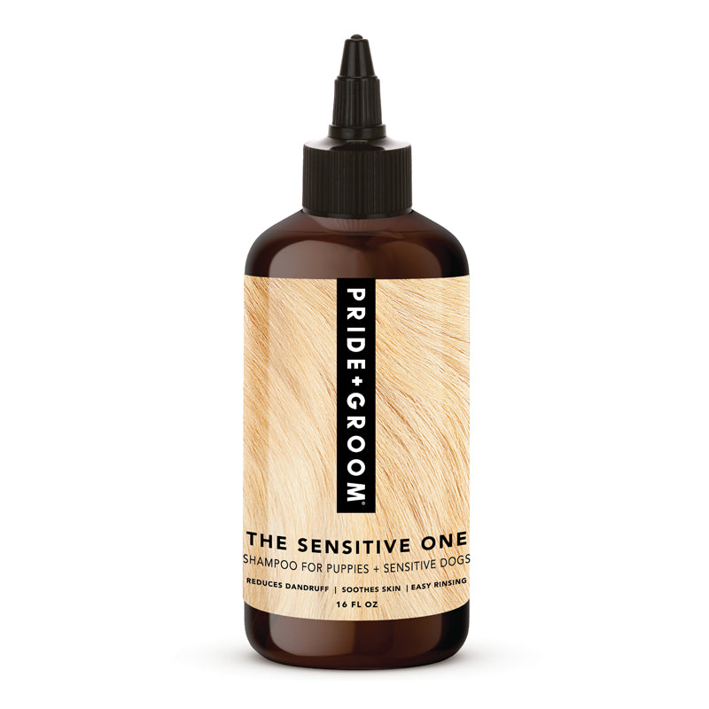 COUNTERTOP DISPLAY WITH 16 OZ PRODUCT