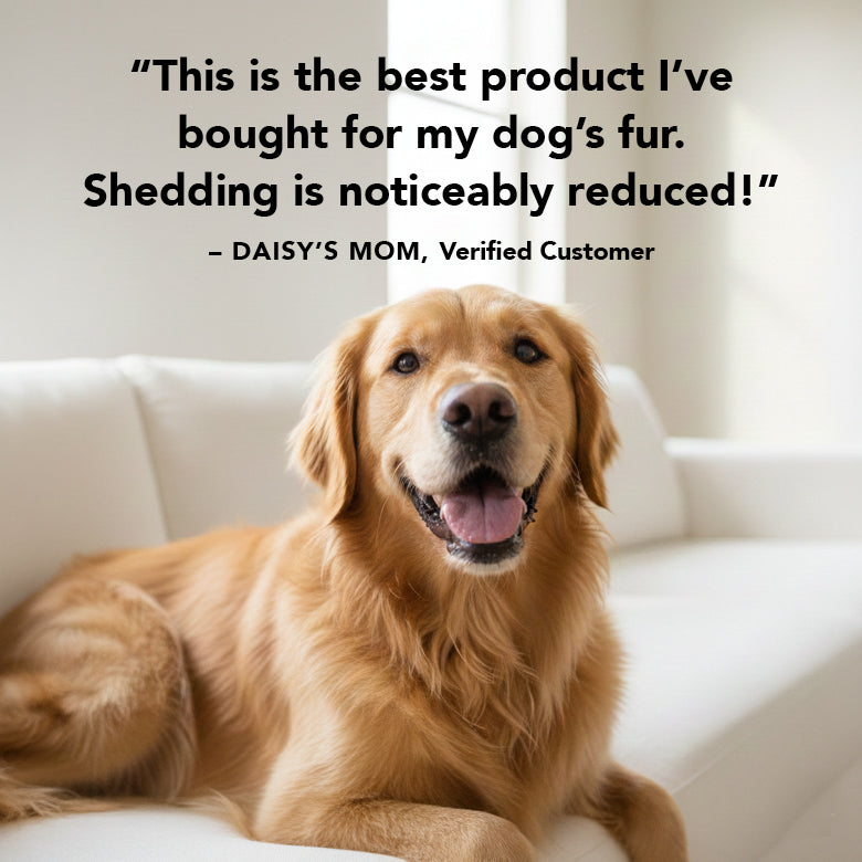 THE SHEDDER Shampoo