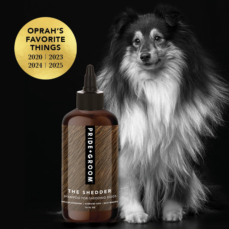 THE SHEDDER Shampoo