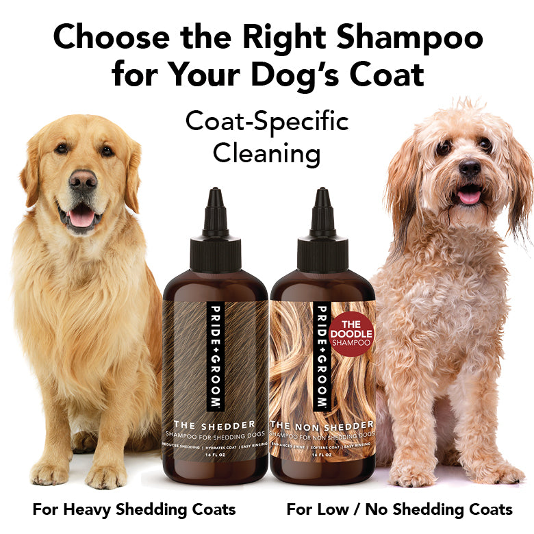 THE SHEDDER Shampoo
