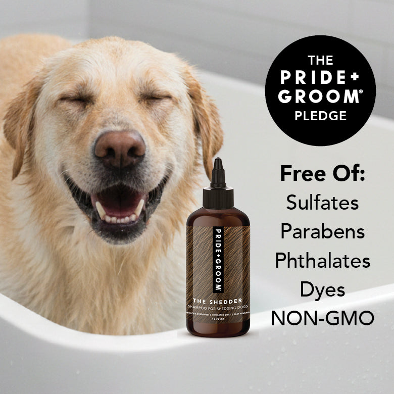 THE SHEDDER Shampoo