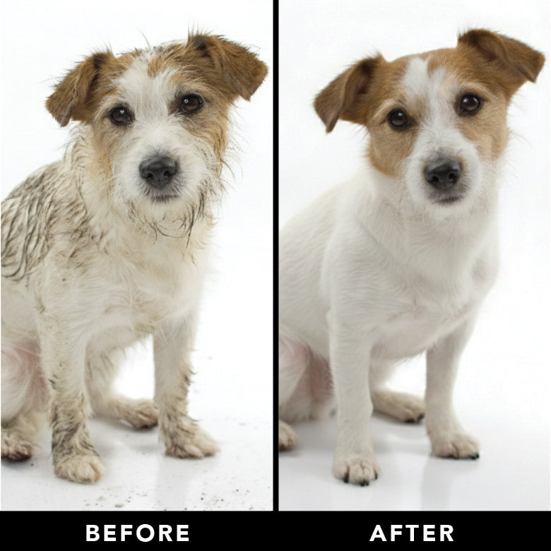 THE SHEDDER Shampoo