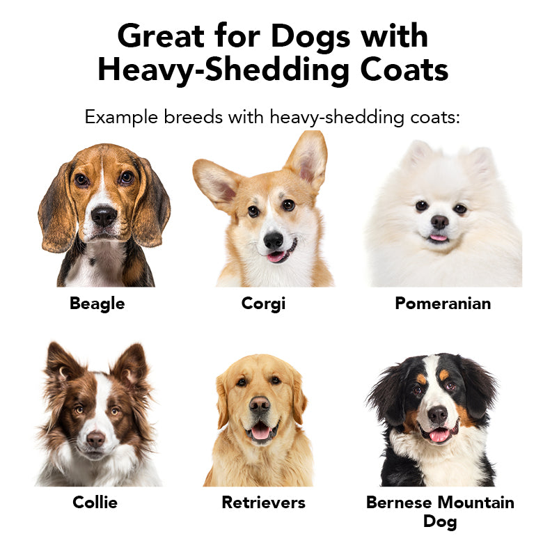 THE SHEDDER Shampoo