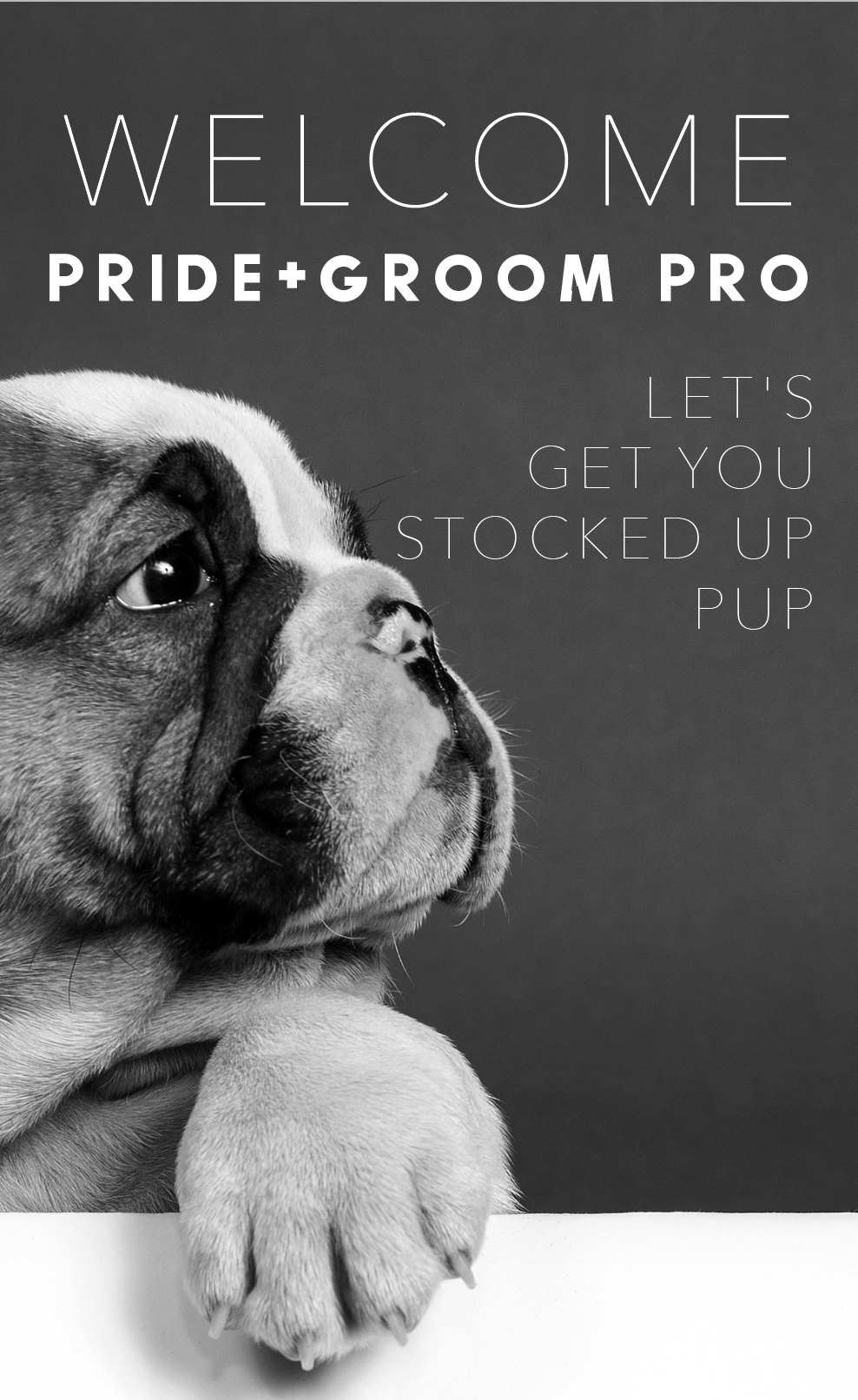 Dog Grooming Supplies Wholesale Uk