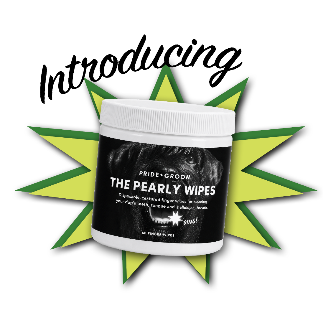 THE PEARLY WIPES