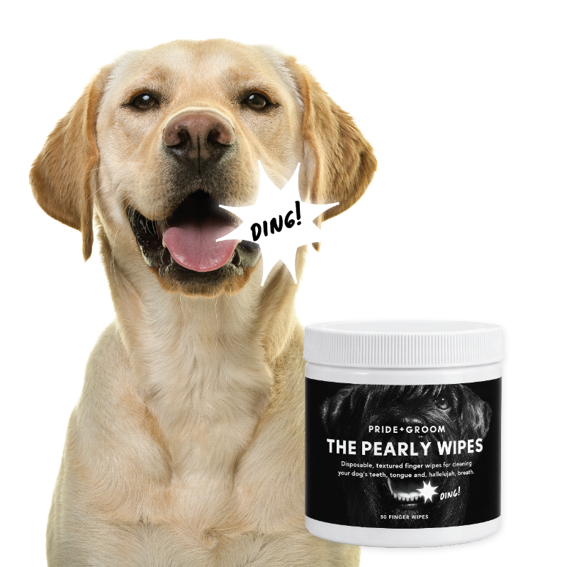 THE PEARLY WIPES