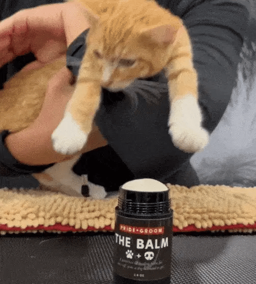 THE BALM Healing Pet Balm — Natural Paw & Nose Moisturizing Balm for Dogs & Cats