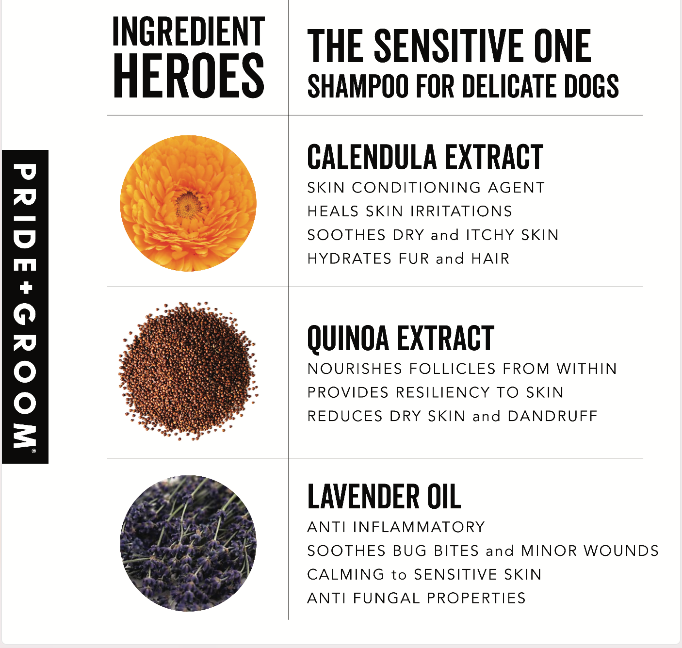 sensitive one dog shampoo for dog with sensitive skin 12 oz, dog shampoo in bulk, wholesale dog shampoo, ingredients 